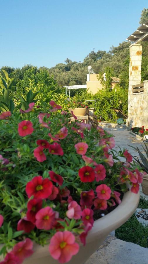 Aloe Villa Απόλπαινα Εξωτερικό φωτογραφία
